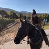 lizzy_steiner